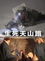 久久久久久精品国产